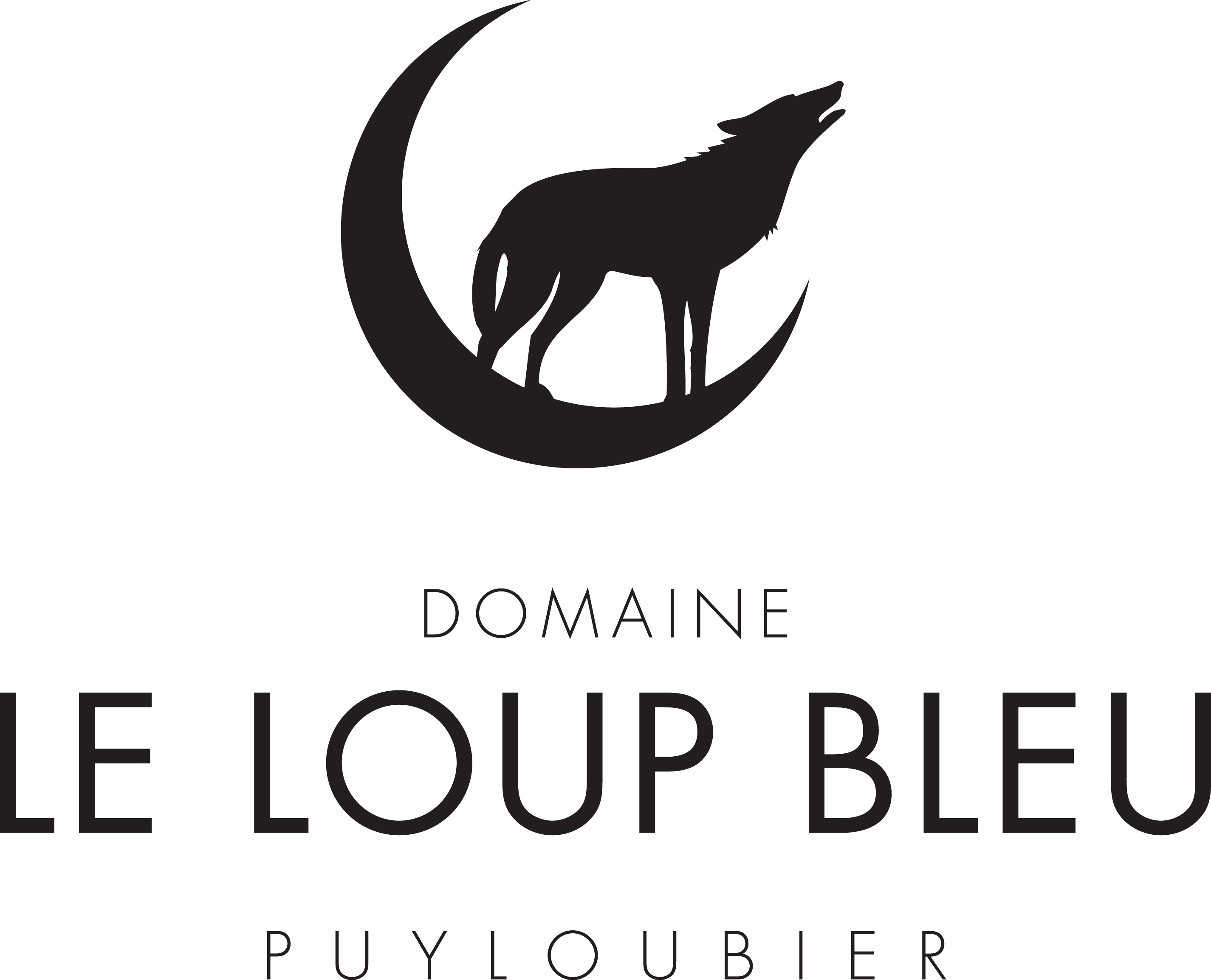 Logo Ok Le Loup Bleu