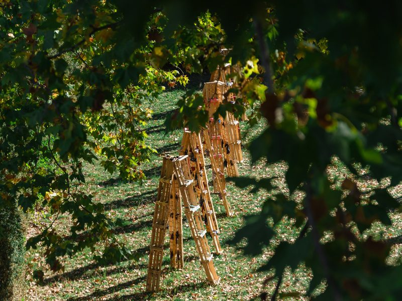 Elie-Bouisson-4-Claudia-Goletto