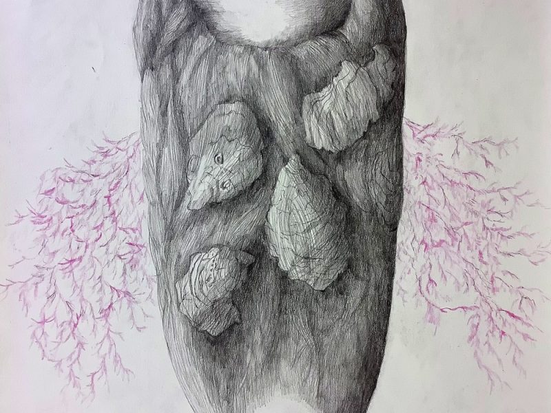 Estelle LACOMBE ostrea chevelure 40 x 50, dessin sur papier , crayon graphite et crayon de couleur CPhoto EL