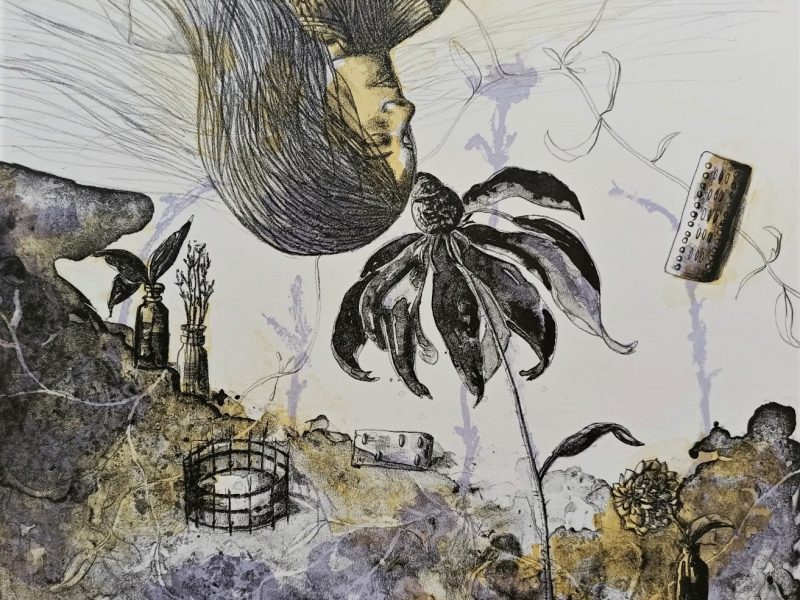 Estelle Lacombe Pierre,soin et germination,50 x 65,lithographie en 3 couleurs
