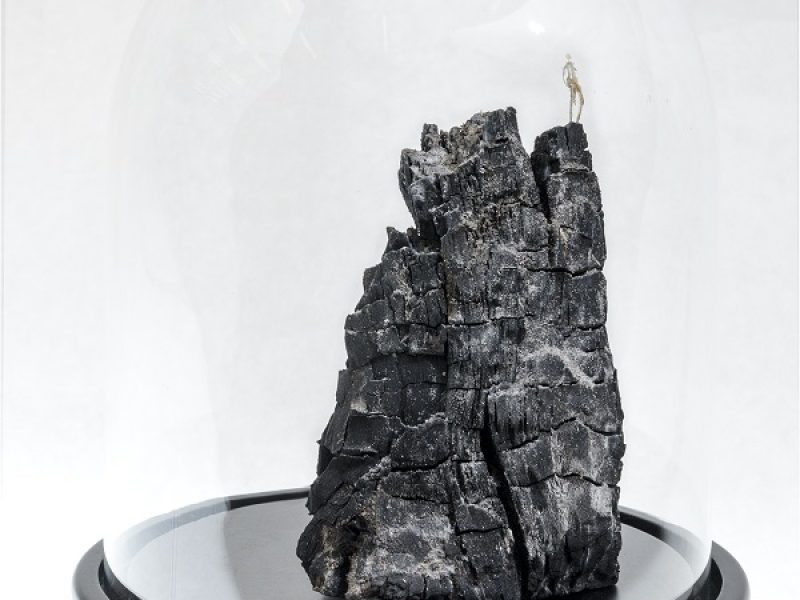 Lionel Sabatté, Fragmant du pic Saint Ange, 2016

© David Richalet