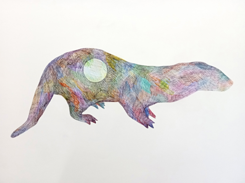 Thibault Franc - Grande loutre noire