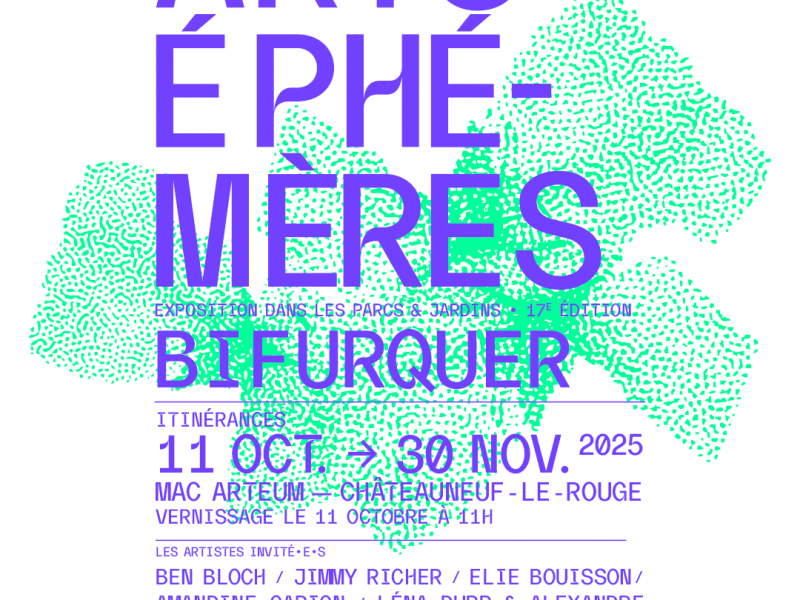 affiche AEI 2025
