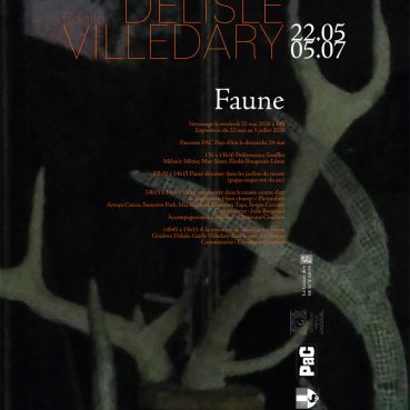 Faune : un projet de Goulven Delisle et Gaëlle Villedary
