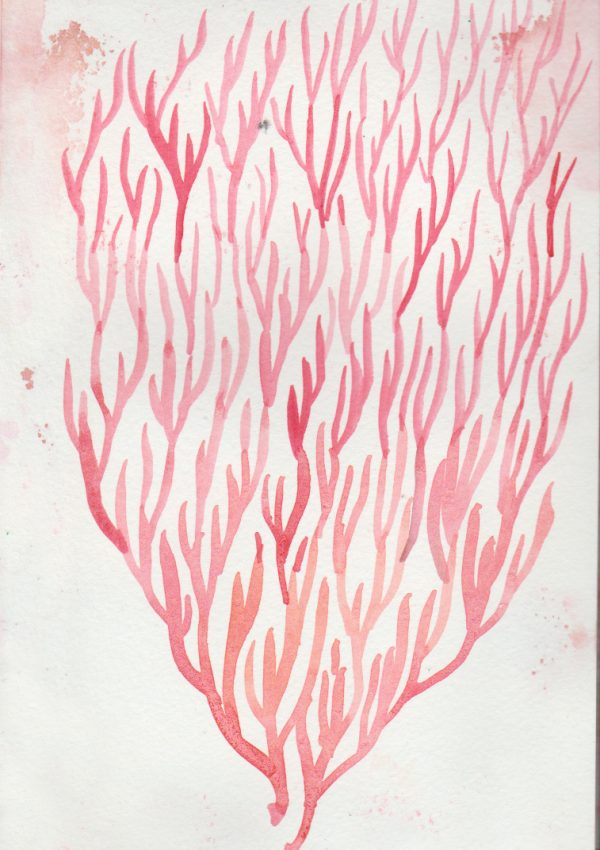 Arbre de vie croquis à l’aquarelle 2025 ©  Gaëlle Villedary