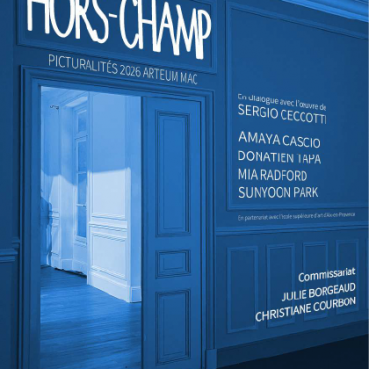 Hors-champ PICTURALITÉS